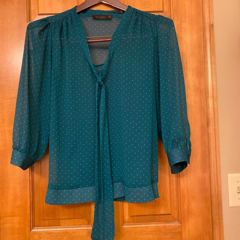 Pretty in Polka Dot - The Limited Blouse